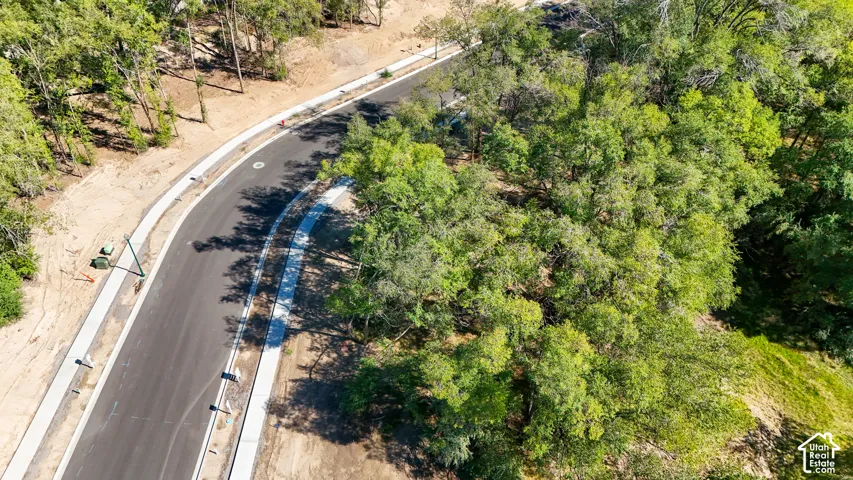 Newly paved asphalt road with integrated concrete sidewalks