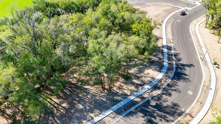 New construction street with concrete sidewalks and mature trees