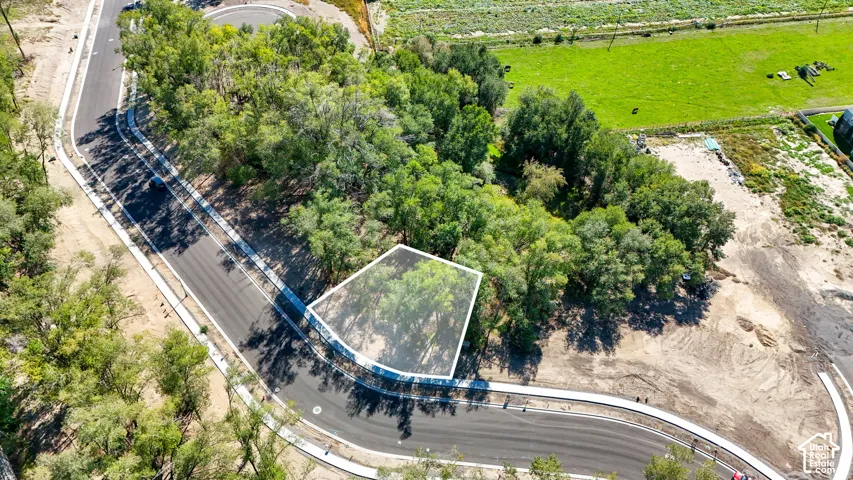 Curved road frontage, established tree coverage, undeveloped land, surrounding green space, and visible utilities