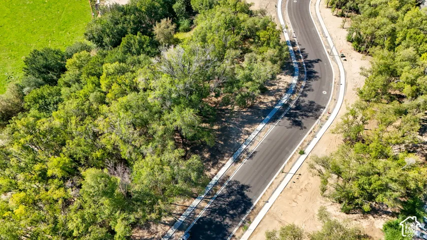 Curving paved road with concrete sidewalks and street lighting, bordered by substantial tree coverage and a verdant open field