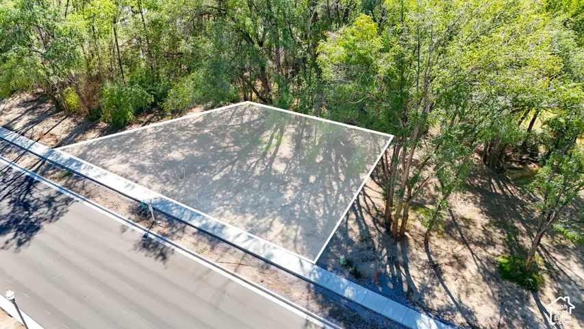 Cleared lot with mature perimeter trees, bordered by a paved road and concrete sidewalk