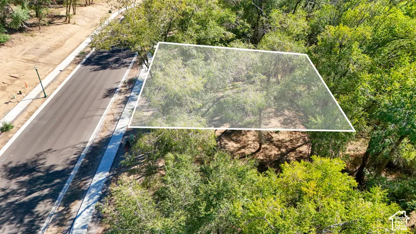 Expansive wooded lot with mature trees, bordered by a newly paved road and concrete sidewalk