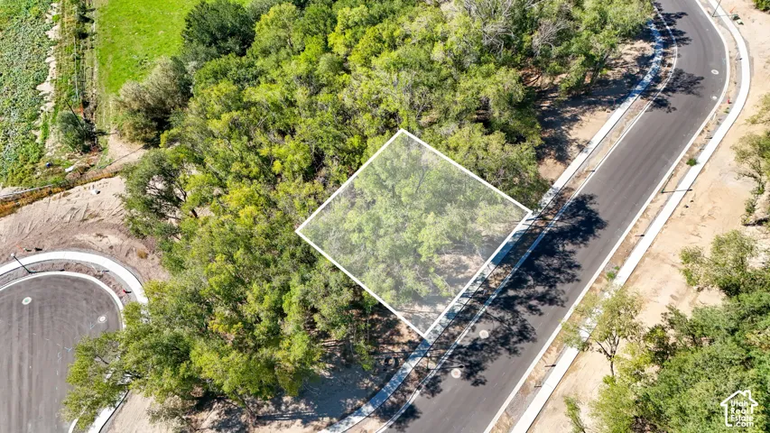 Wooded lot with established trees and direct street frontage