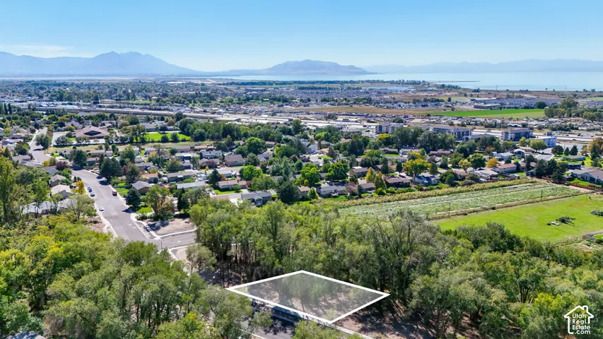 Expansive land parcel featuring a wooded perimeter and clear buildable area