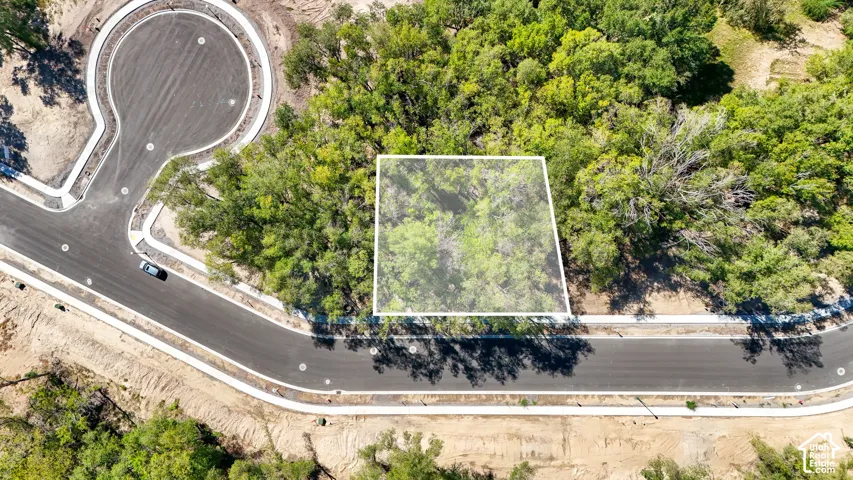 Wooded lot with established perimeter, situated on a paved street with a cul-de-sac