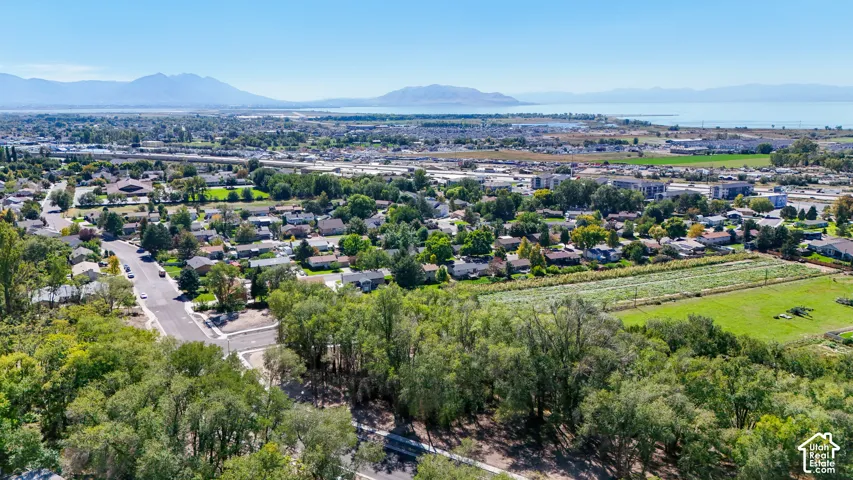 Expansive neighborhood setting with mature trees and paved roadways, set against a backdrop of distant mountains and a large body of water