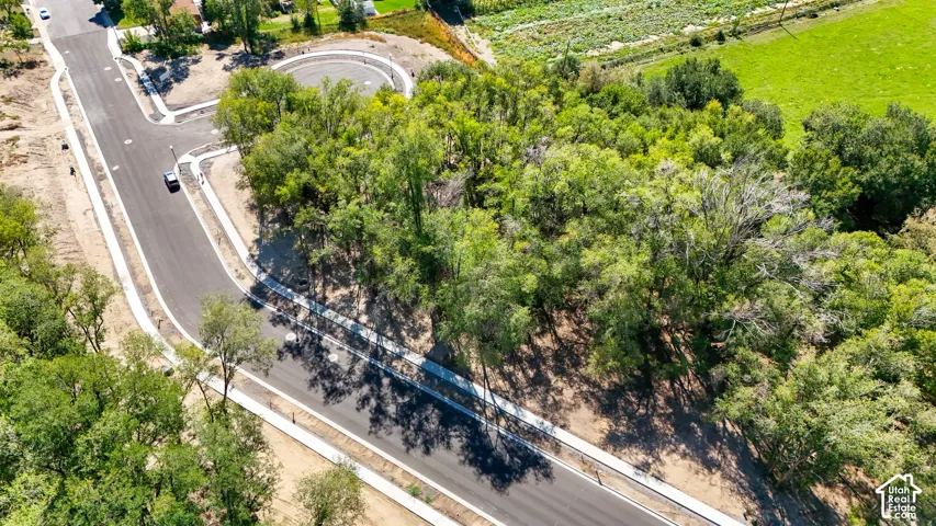 Newly paved roads and sidewalks