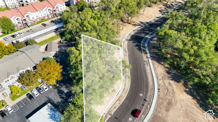 Expansive wooded lot with direct road frontage