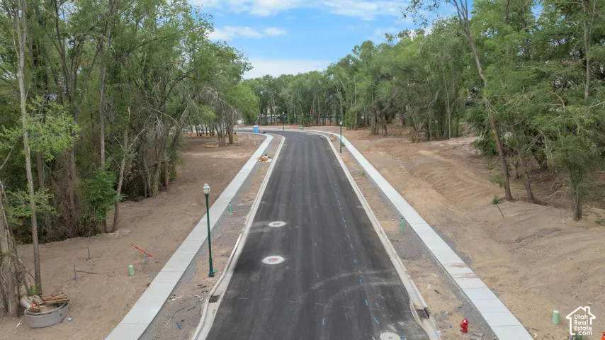 Newly paved street with concrete sidewalks and mature trees