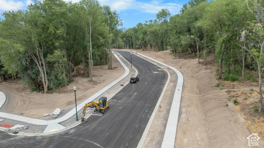Newly paved road with sidewalks, streetlights, and abundant mature trees