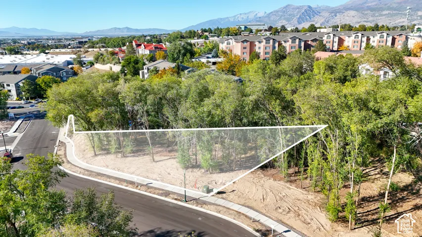 Cleared lot featuring mature trees, paved road frontage, and a concrete sidewalk