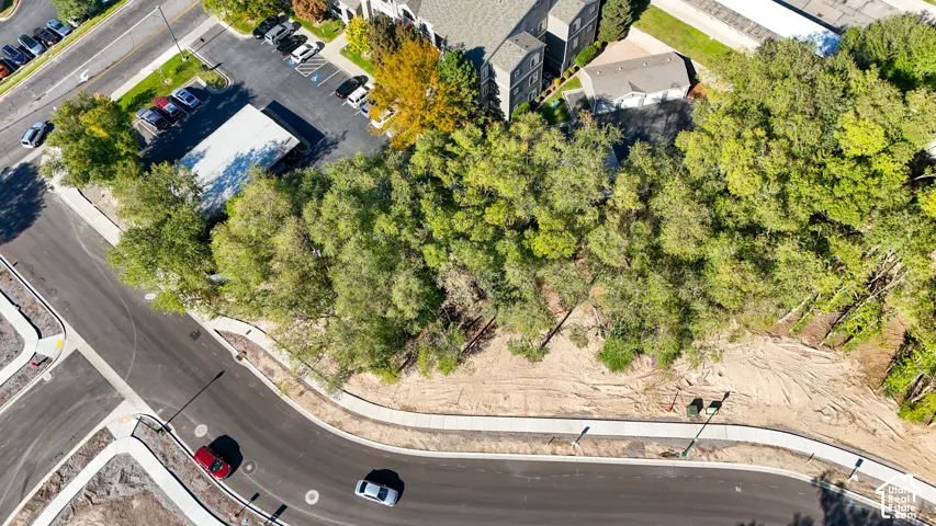 Newly paved asphalt street with curbing and sidewalks, bordered by mature trees