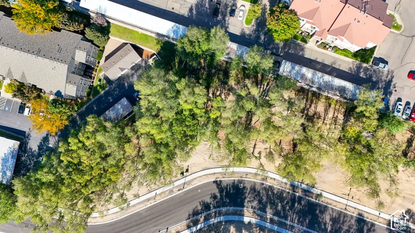 Curved asphalt road with a concrete sidewalk
