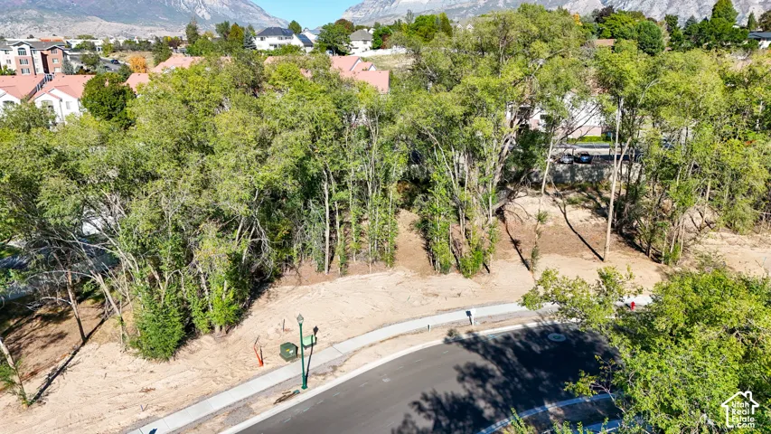 Mature trees creating a natural border, with new asphalt and concrete sidewalk