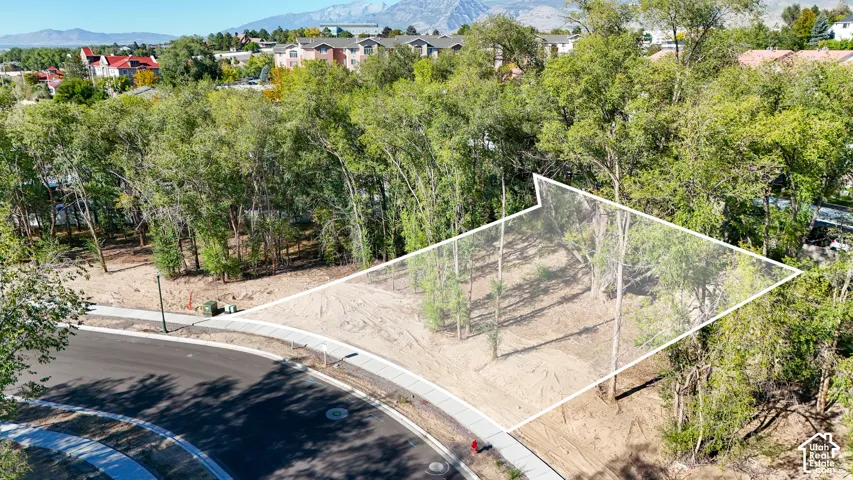 Wooded building lot with established trees and new street infrastructure