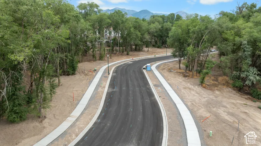 Newly paved road with integrated sidewalks and street lights, surrounded by mature trees and mountain scenery
