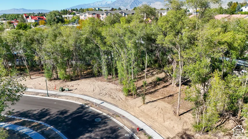 Curved asphalt roadway with a concrete sidewalk and mature trees