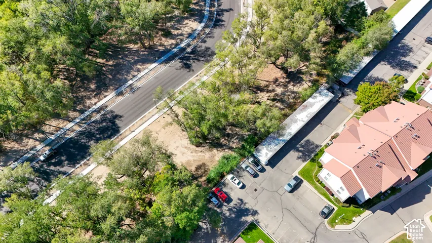 Paved roadways with concrete sidewalks, surrounded by mature trees