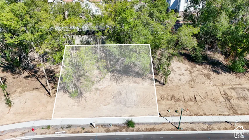 Vacant land parcel with established trees, graded terrain, and adjacent concrete sidewalk