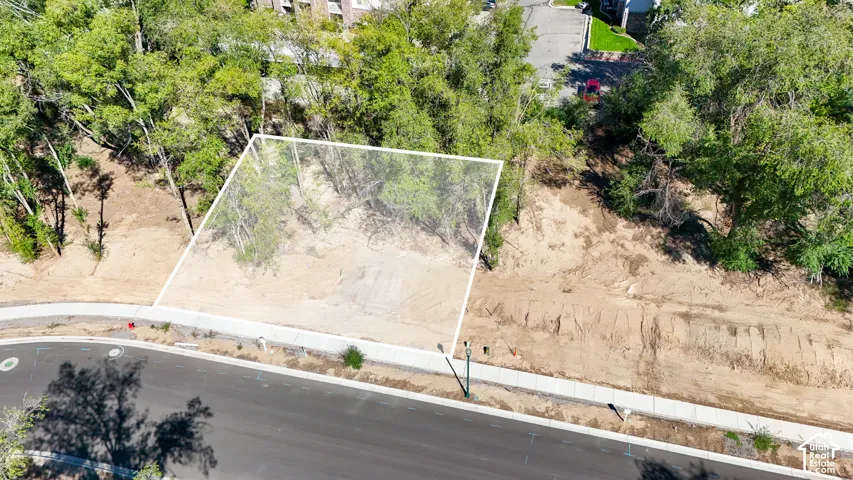 Cleared lot featuring mature trees, a paved street, and a concrete sidewalk