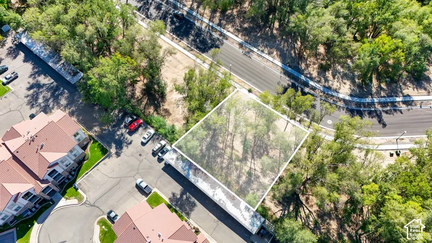 Aerial lot with mature trees and surrounding paved roadway
