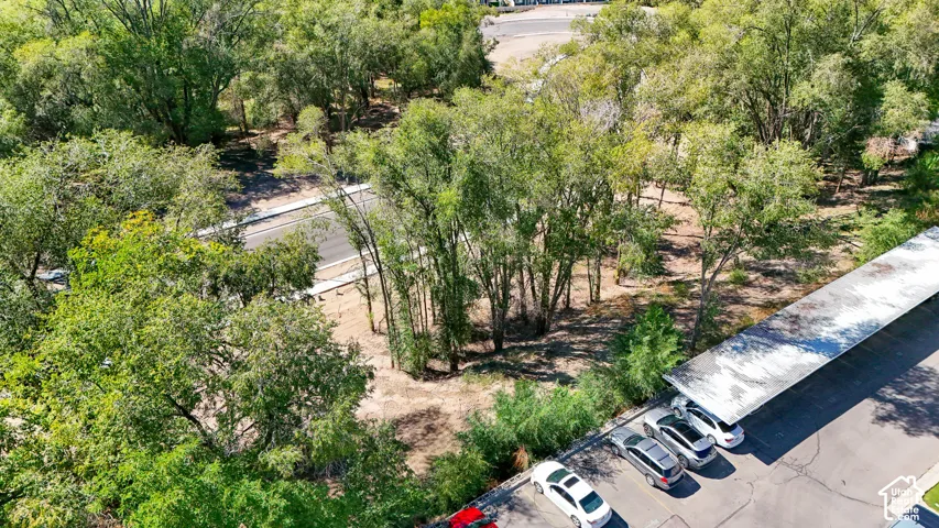 Paved parking area featuring covered parking spaces and surrounding mature trees
