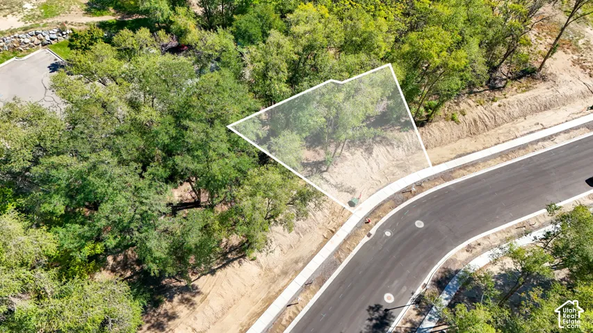 Level lot with mature trees, bordered by a paved road and sidewalk