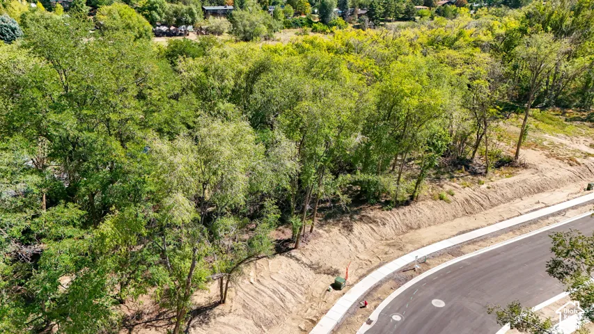 Mature tree coverage, paved street, concrete sidewalks, and graded land