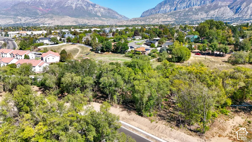 Expansive undeveloped land featuring mature trees and a paved road