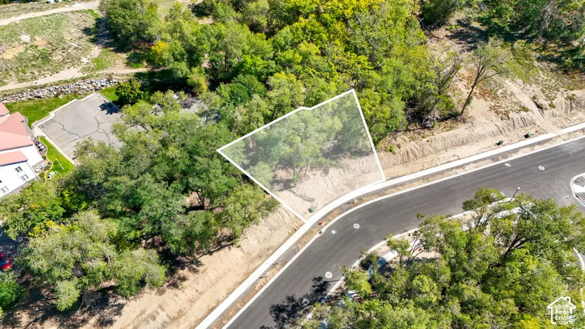 Property parcel featuring mature trees, a paved roadway, and a concrete sidewalk