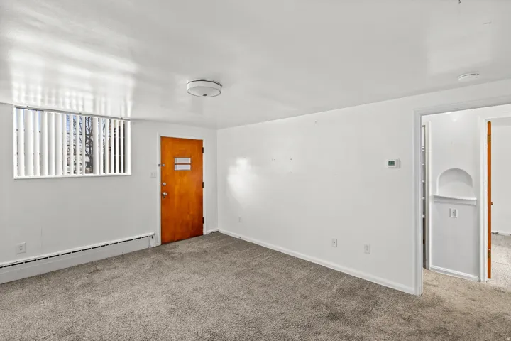 Carpeted interior with white walls, window with vertical blinds, wood-finish door, and flush-mount ceiling light