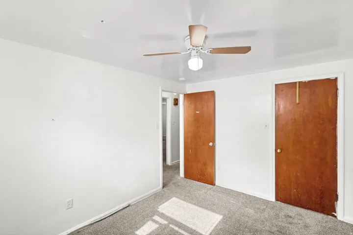 Neutral wall paint, ceiling-mounted light fixture, light-colored carpet flooring, two interior wood-finish doors