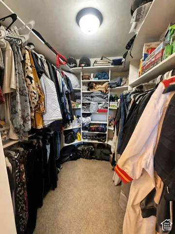 Walk-in closet featuring carpet flooring, built-in shelving, and hanging rod storage