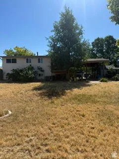 Spacious rear yard with a large tree and a covered outdoor structure