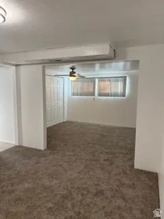 Brown carpet flooring