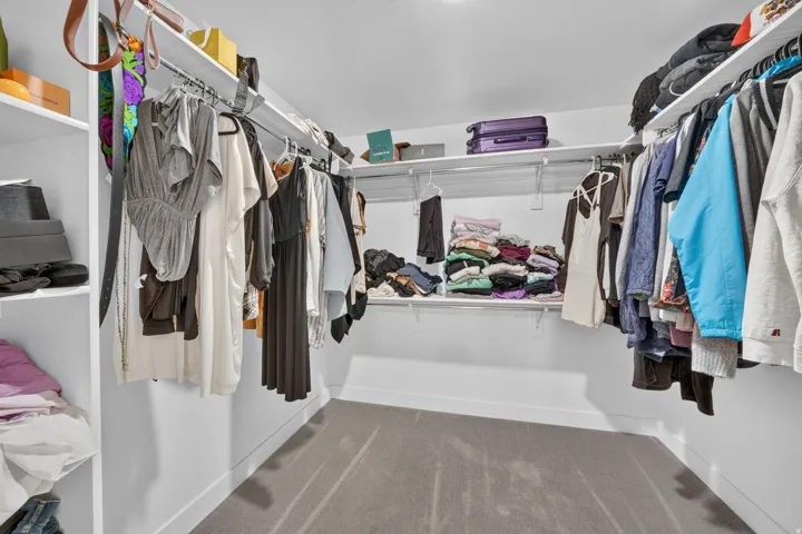 Walk-in closet with carpet flooring, white walls, and built-in shelving