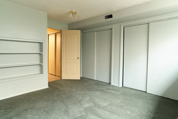 Built-in shelving, plush carpeting, light-colored walls.