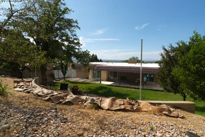 Expansive backyard with fruit trees, and a concrete patio, garden area