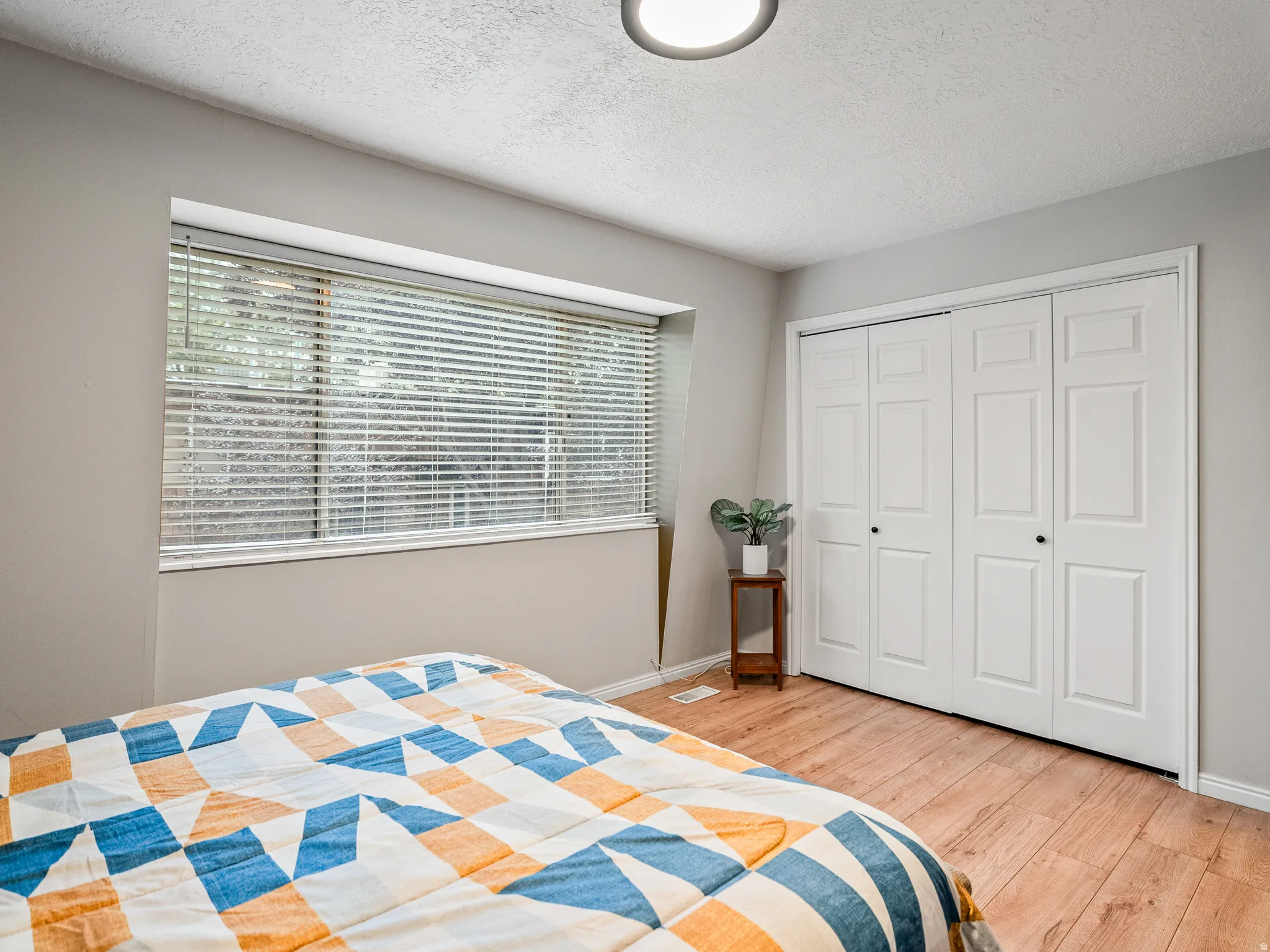 Wood-finish flooring with neutral wall paint