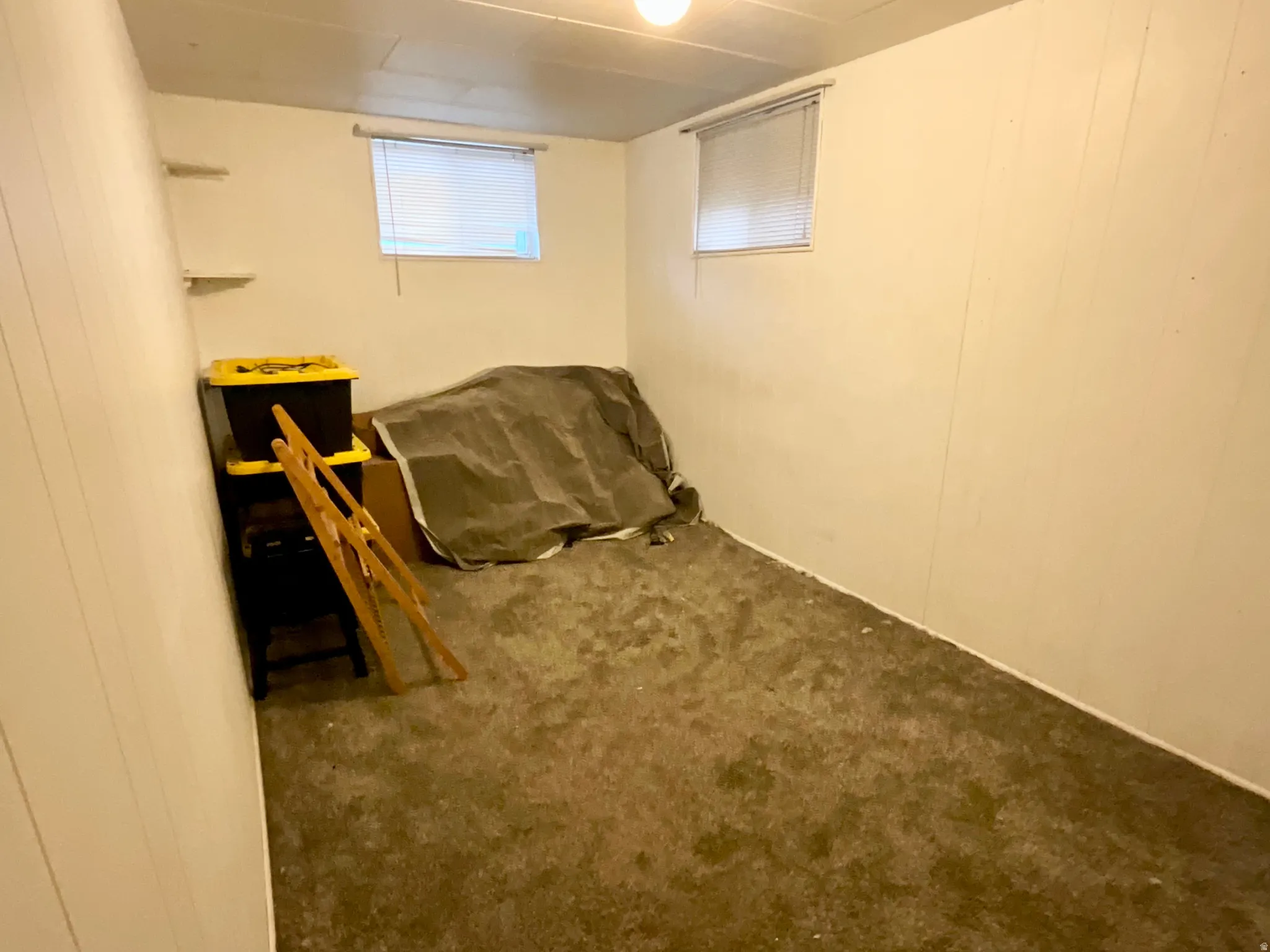 Basement Mother-in-law bedroom