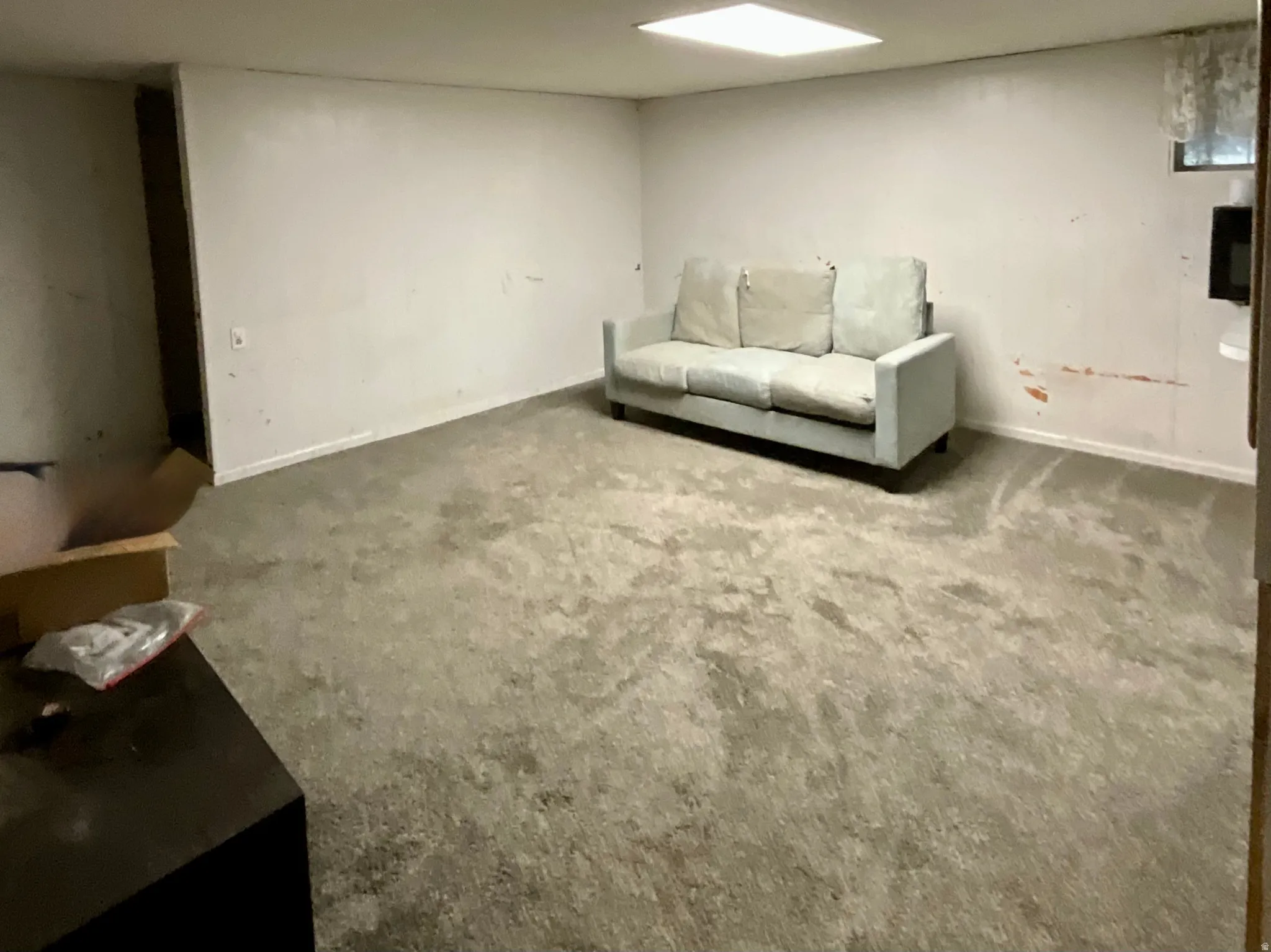 Mother-in-law living room