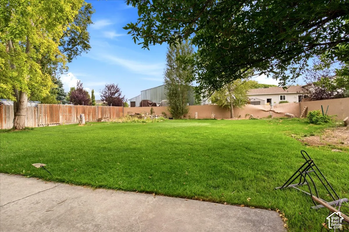 back yard