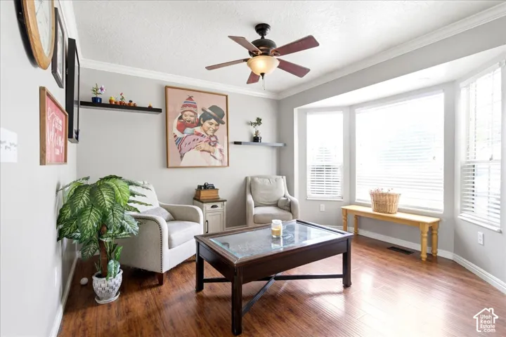 front room/living room.