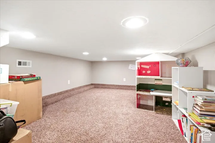 finished playroom or storage, off family room on lower level