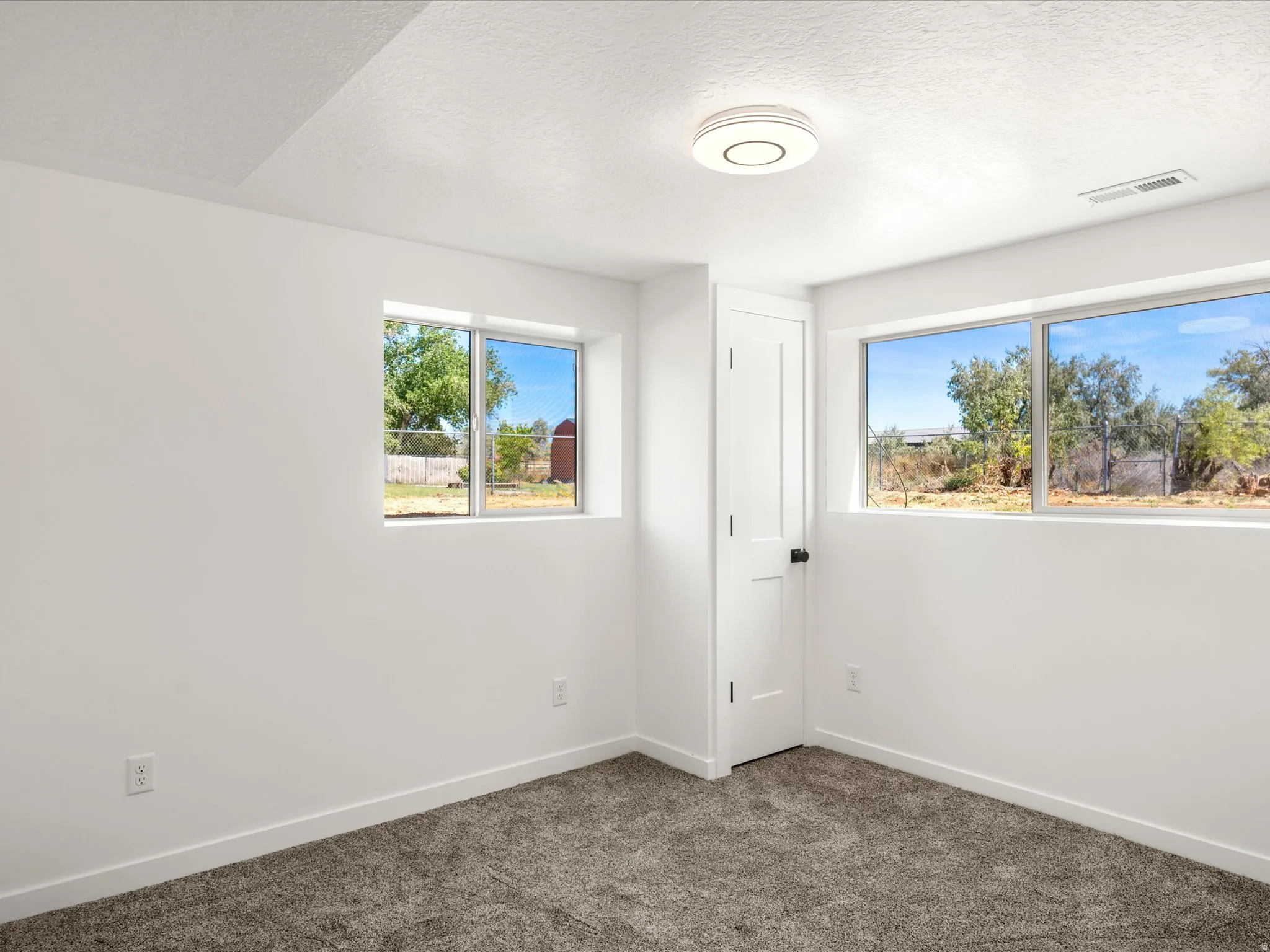 Bedroom #5 Downstairs. Plush carpet flooring, white walls, two windows, and a flush-mount ceiling light fixture