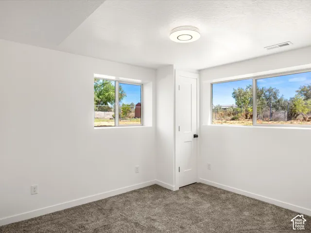Bedroom #5 Downstairs. Plush carpet flooring, white walls, two windows, and a flush-mount ceiling light fixture