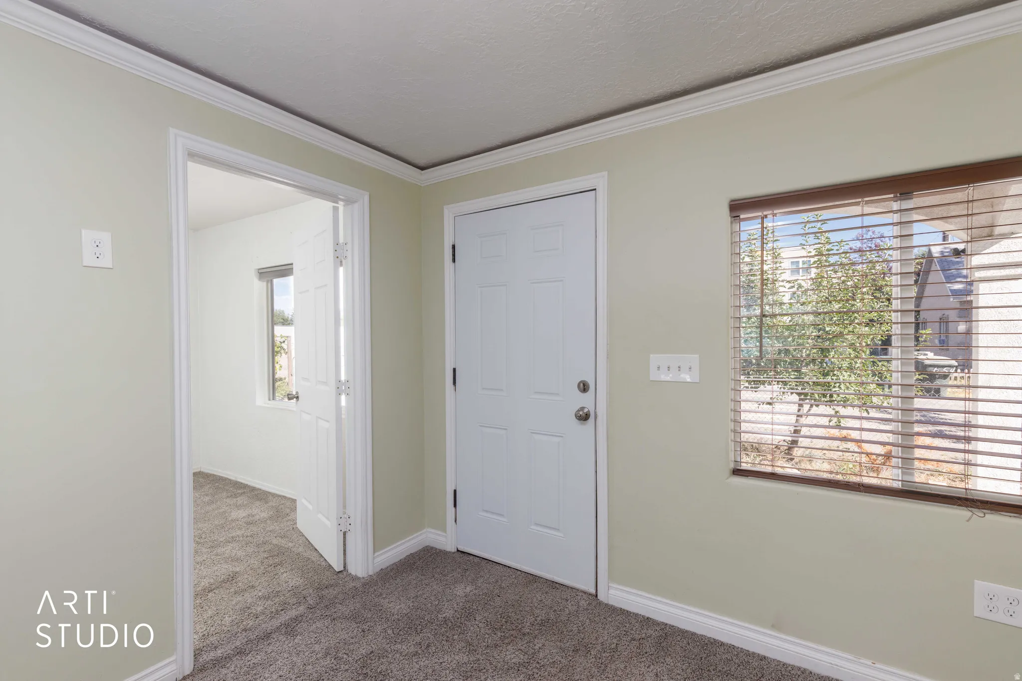Neutral wall paint, white trim, crown molding, and textured carpeting