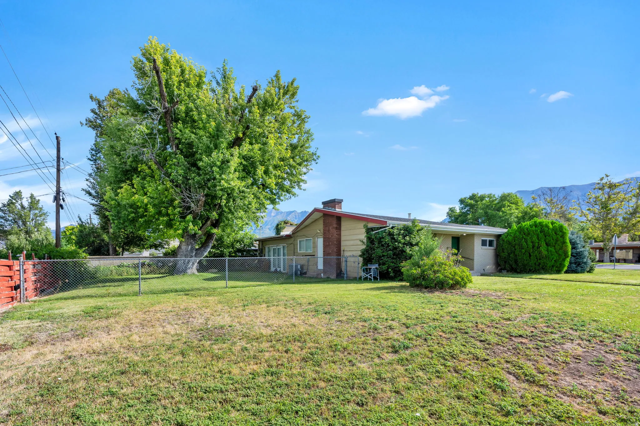 Expansive exterior with a mature tree, chain-link fencing, and established shrubbery