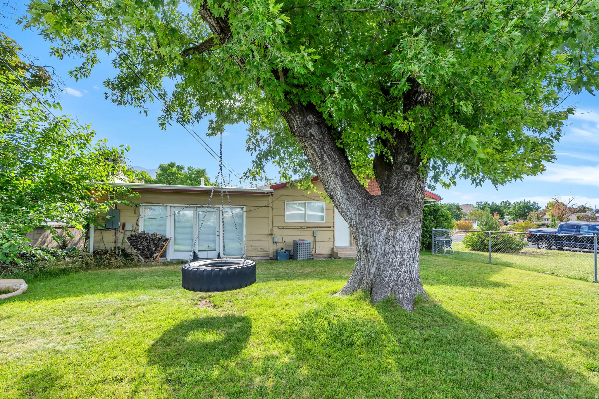 Expansive green lawn with a mature shade tree, chain-link fencing