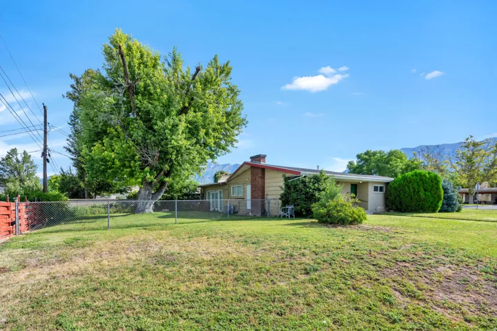 Expansive exterior with a mature tree, chain-link fencing, and established shrubbery
